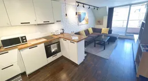Unique Luxurious Jacuzzi PENTHOUSE DUPLEX in City Center! 2 BATHS! FREE PARKING! - Image 2
