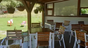 Pensiunea Costesti - Image 4