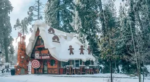 Bugsy's Mountain Retreat - Tiny House in the Trees - Image 4