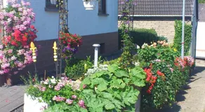 Pension Loni Theisen - Image 4