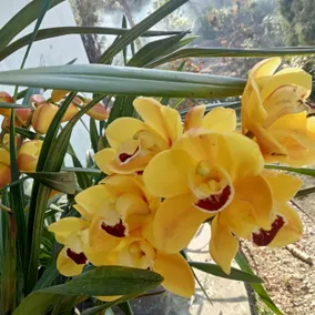 Ama's Homestay - Image 4