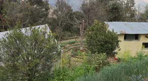 Hasera Organic Farmstay: Farm to Table & Mountain View - Image 4