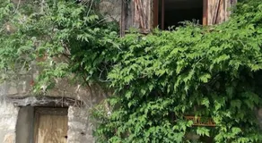La maison de la vigne - Image 5