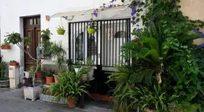 Un jardin en Ville - Image 3