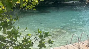 Bayside Island Escape - Image 4