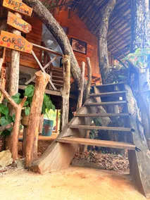 Elephant point tree house - Image 5