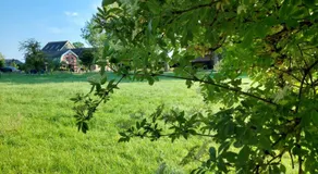 Bollenboet - Image 5