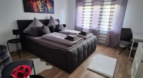 Pfälzer Wald Apartment - Image 2