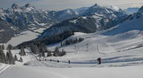 Haus Pfauth - Image 5