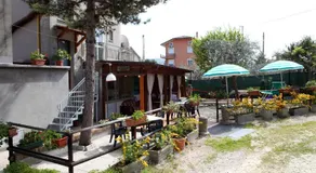 Dallapia - Image 3