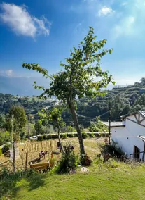 Arameh-A Boutique Orchard Retreat Near Kasauli - Image 3