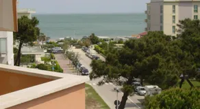 Amigos - Image 4