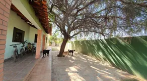 Canto dos Pássaros - Image 2