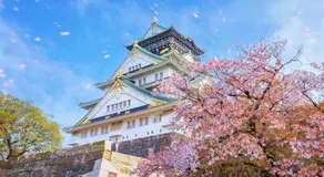 Sakura OsakaCastleNorth Hotel -Adult Only- - Image 4