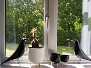 TEXELNEST - small & beautiful apartment to feel good in - Image 5