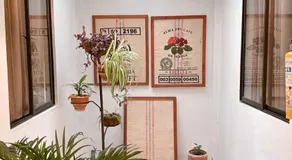 Hostal Rose Moor - Image 5