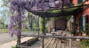 Fattoria Amelia - Image 4