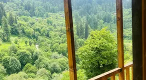 Meet by cooincidence homestay - A place of peace and nature - Image 2