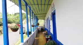 Santa Irene de Palomino - Sevilla Valle del Cauca - Image 3