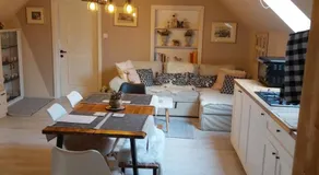 InGreen house - Image 2