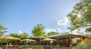 Insika lodge - Image 4