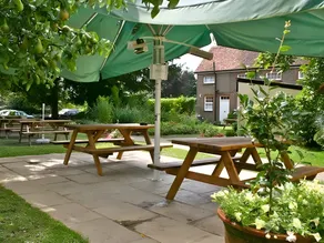 The Bent Arms - Image 3