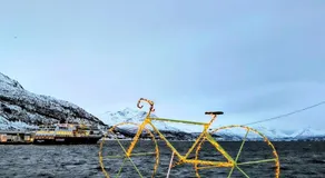 The Perfect Stop - Northern Halo - Image 4