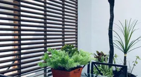 Residence Las Trojes Cdmx - Image 3