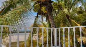 The Isabela Beach House - Image 5