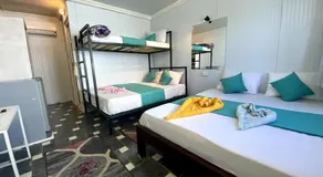 Octopus Hotel - Image 2