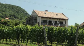 Séd Pince Vendégház - Image 5
