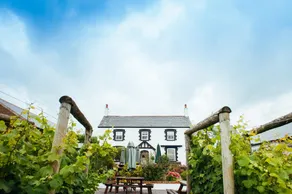 Llanerch Vineyard Hotel - Image 5