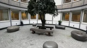 Stylish 1 Bedroom Apartment in Purley, Croydon - Image 5
