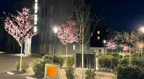 Accommodation at a prime location - near messe - Image 5