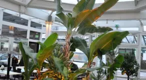 Hotel-Café Kampe - Image 4