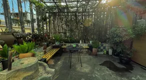 Kunming Yi mo hostel-Free pickup from and to Western Hill Park Subway st - Image 4