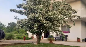 Janja Medjugorje - Image 5