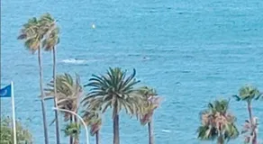 Benalmadena playa!!! - Image 5