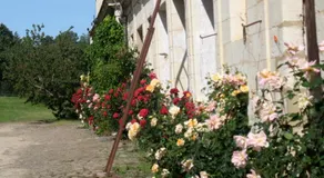 La Mesnagerie - Image 4
