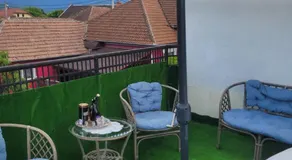 Vila la Izvorul Putinei - Image 3