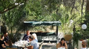 The Delfini Hotel - Image 4
