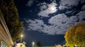 Tirau Motor Inn - Image 5