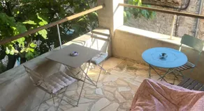 Le vieux figuier - Image 3