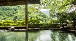 Yamagaso - Image 5