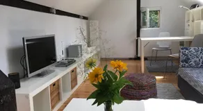 Cevennenremise - Image 2