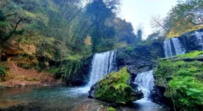 Privatzimmer | Naturblick - Image 5
