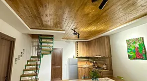 WoodStar/ტყის ვარსკვლავი - Image 5