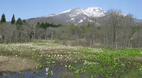 Park Lodge Sekine - Image 4
