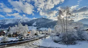 Haus Bergliebe Kleinwalsertal - Image 4