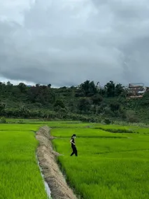 Family homestay from HCMC to Highland Culture - Image 5